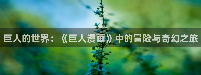 汗汗漫画阅读