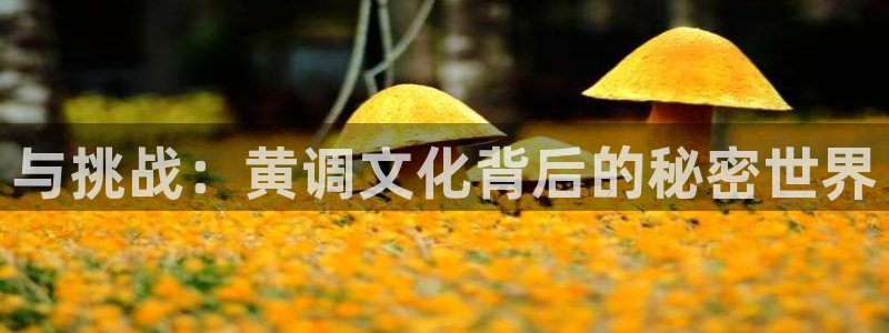汗汗漫画官网在线观看