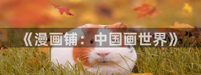 汗汗漫画免费无遮掩免费
