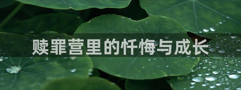 汗汗漫画登录页面