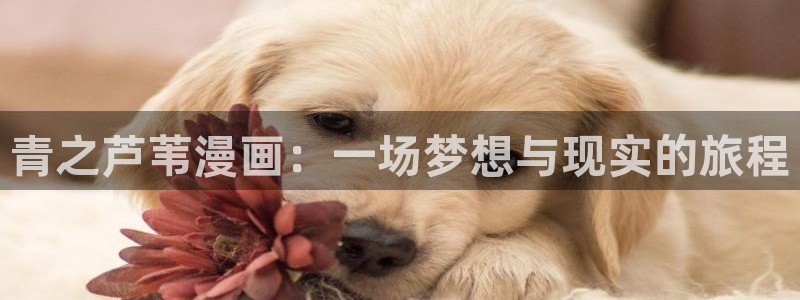 汗汗漫画网免费阅读下拉式