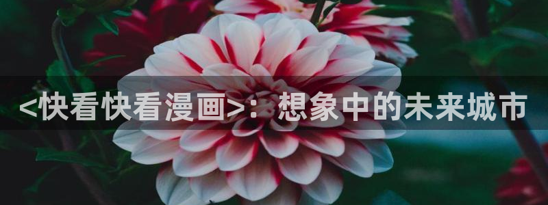韩漫网站汗汗漫画