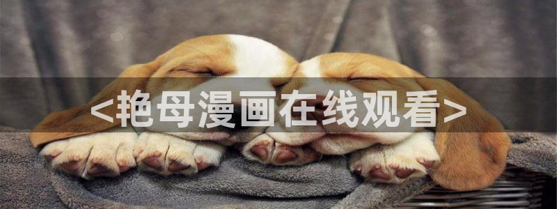 汗汗漫画看