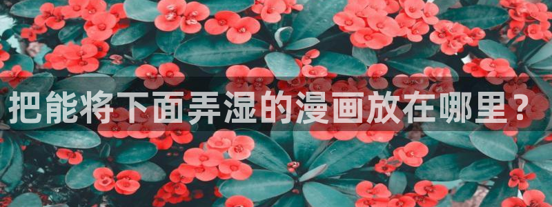汗汗漫画网官网