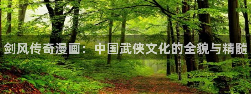 汗汗漫画……歪歪漫画：剑风传奇漫画：中国武侠文化的全貌与精髓