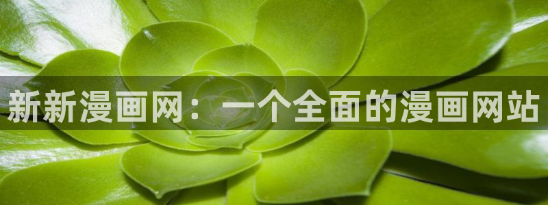 汗汗漫画网改名